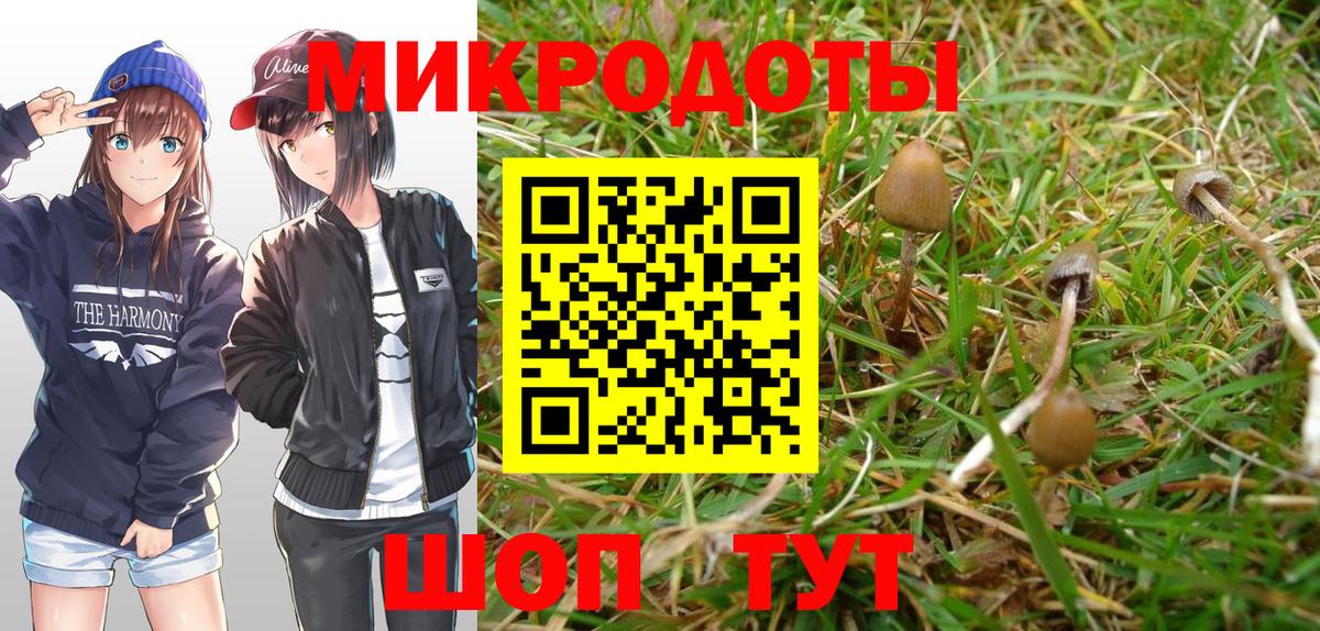 Орёл  Псилоцибиновые грибы Magic Shrooms  Вход с VPN 